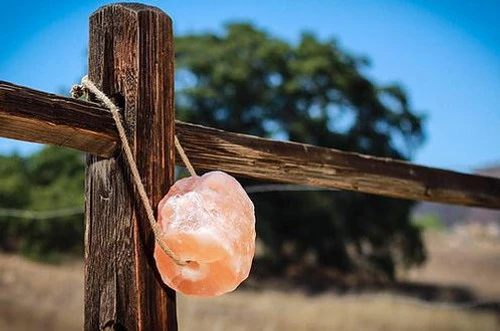 Himalayan Rock Salt On Rope 1 Himalayan Rock Salt On Rope