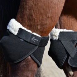 Click Hock Shield Ultra