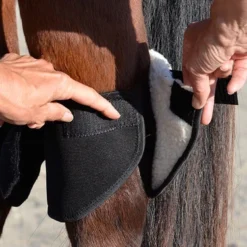 Click Hock Shield Ultra -Horse Set Sales Store hock shield ultra step2 click 19516.1663802303