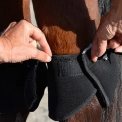 Click Hock Shield Ultra -Horse Set Sales Store hock shield ultra step3 click 08098.1663802305