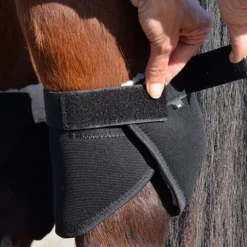 Click Hock Shield Ultra -Horse Set Sales Store hock shield ultra step4 click 07805.1663802308