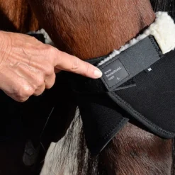 Click Hock Shield Ultra -Horse Set Sales Store hock shield ultra step5 click 25128.1663802308
