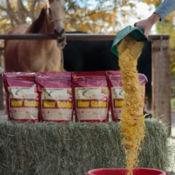 Hoof Guard Supplement By Horse Guard - 10 Lb 7 Hoof Guard Supplement By Horse Guard - 10 Lb -Horse Set Sales Store hoof guard pour horse guard 70674.1554747053