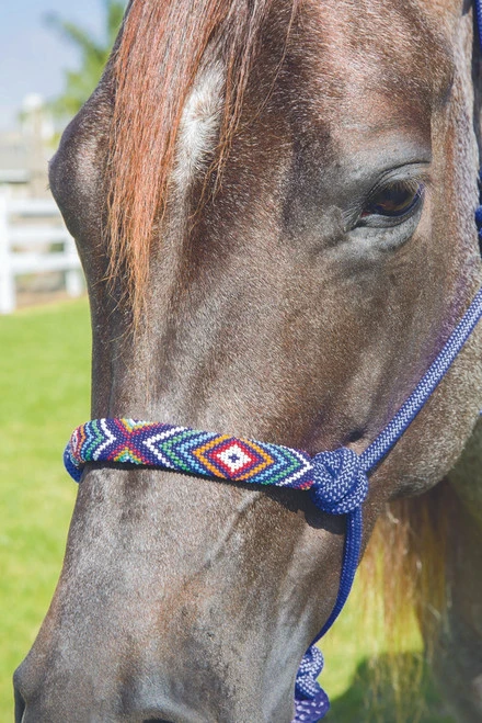 Professional's Choice Beaded Rope Halter & 10 Ft Lead 1 Professional's Choice Beaded Rope Halter & 10 Ft Lead