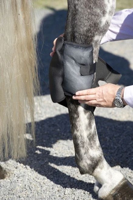 Ice Horse Hock Wraps With Inserts - PAIR 5 Ice Horse Hock Wraps With Inserts - PAIR - Image 5