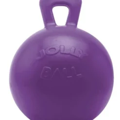 Jolly Ball Horse Toy