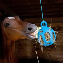 Jolly Hay Ball -Horse Set Sales Store jolly hay ball blue 165493 horsemans pride 65558.1650404727