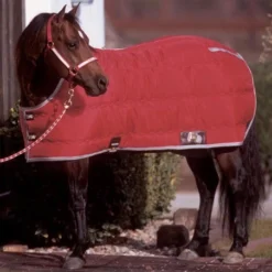 Big D Kodiak Stable Blanket -Horse Set Sales Store kodiak insulated blanket 27769.1649964255
