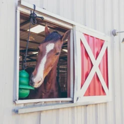 Kong Equine Hanging Kit Horse Toy -Horse Set Sales Store kong hanging standard green window kong equine 56075.1638045204