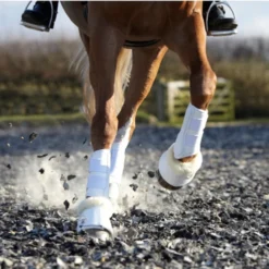 LeMieux Lambswool Overreach Boots -Horse Set Sales Store lambswool bell boot white lifestyle 9736 lemieux 70305.1638397528