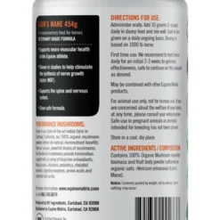 Lion's Mane Equine Matrix