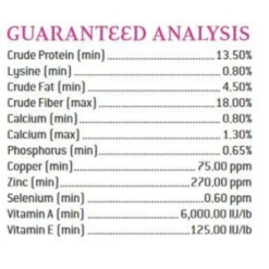 Puirna Miniature Horse And Pony