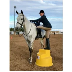 Mount Ease Mounting Block -Horse Set Sales Store mounting block yellow in use mount ease 06728.1641677136