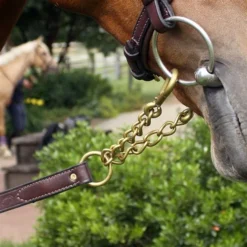 Nunn Finer Newmarket Shank Lead -Horse Set Sales Store newmarket shank havana brass detail nunn finer 43439.1587245493