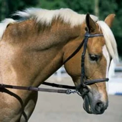 Nunn Finer Elastic Side Reins - Pony -Horse Set Sales Store nunn finer elastic side reins pony 2 83217 55621.1587241540