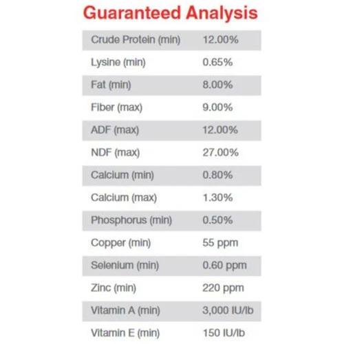 Purina Omolene 500 Competition 2 Purina Omolene 500 Competition - Image 2