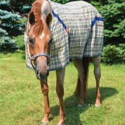 5/A Baker Stable Sheet -Horse Set Sales Store original baker sheet tan horse front 7002 baker 75207.1672865920