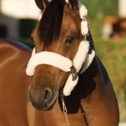 Ovation Sheepskin Pony Shipping Halter -Horse Set Sales Store ovation sheepskin pony shipping halter 2 06071 50134.1527309294
