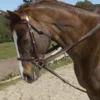 Ovation Stretch Cord Draw Reins