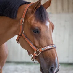 PÉNÉLOPE Pénélope Pearl Leather Halter -Horse Set Sales Store pearl halter cognac 510 311 302 penelope 76617.1688687936