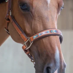 PÉNÉLOPE Pénélope Pearl Leather Halter -Horse Set Sales Store pearl halter cognac noseband1 510 311 302 penelope 65794.1688687941