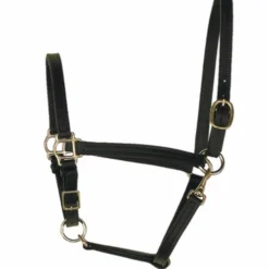 Perri's 3/4-Inch Leather Turnout Halter