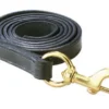 Perri's Leather Lead With Brass Snap