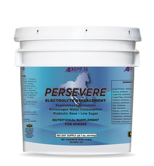 Adeptus Persevere Electrolytes 1 Adeptus Persevere Electrolytes