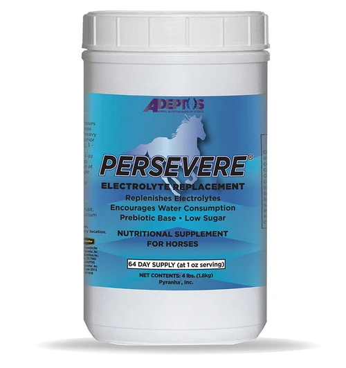 Adeptus Persevere Electrolytes 2 Adeptus Persevere Electrolytes - Image 2