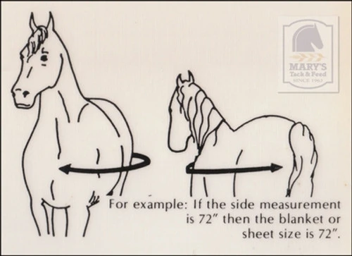 Pessoa Alpine Plaid Turnout Sheet 2 Pessoa Alpine Plaid Turnout Sheet - Image 2
