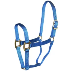 Hamilton Quality 1" Nylon Halter 16 Hamilton Quality 1" Nylon Halter -Horse Set Sales Store quality 1in nylon halter berry blue 1Q BY hamilton 67147.1685665703