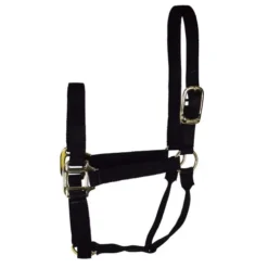 Hamilton Quality 1" Nylon Halter 15 Hamilton Quality 1" Nylon Halter -Horse Set Sales Store quality 1in nylon halter black 1Q hamilton 13858.1685665721