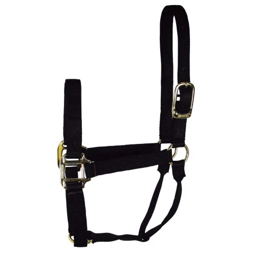 Hamilton Quality 1" Nylon Halter 7 Hamilton Quality 1" Nylon Halter - Image 7