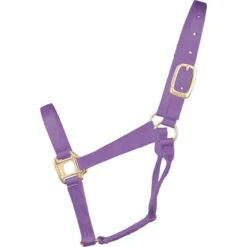 Hamilton Quality 1" Nylon Halter 14 Hamilton Quality 1" Nylon Halter -Horse Set Sales Store quality 1in nylon halter lavender 1Q AVLV hamilton 15621.1685665710