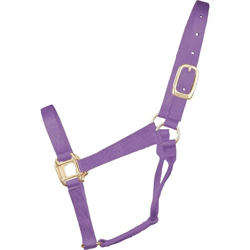 Hamilton Quality 1" Nylon Halter 6 Hamilton Quality 1" Nylon Halter - Image 6