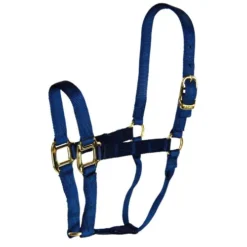 Hamilton Quality 1" Nylon Halter 11 Hamilton Quality 1" Nylon Halter -Horse Set Sales Store quality 1in nylon halter navy 1Q NV hamilton 21719.1685666724