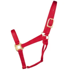 Hamilton Quality 1" Nylon Halter 17 Hamilton Quality 1" Nylon Halter -Horse Set Sales Store quality 1in nylon halter red 1Q hamilton 12014.1685665705