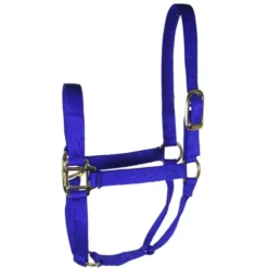 Hamilton Quality 1" Nylon Halter 13 Hamilton Quality 1" Nylon Halter -Horse Set Sales Store quality 1in nylon halter royal 1Q hamilton 95898.1685665741
