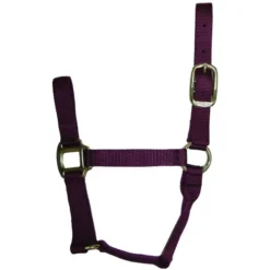 Hamilton Quality 1" Nylon Halter 12 Hamilton Quality 1" Nylon Halter -Horse Set Sales Store quality 1in nylon halter wine 1QWN hamilton 54194.1685665738