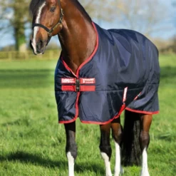 Horseware Ireland Rambo Original Medium Turnout 200g