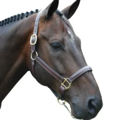 Red Barn Kate Fancy Stitch Halter -Horse Set Sales Store red barn kate halter brown brass W kl select 63727.1682796912