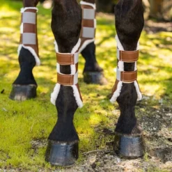 Euro Pro Rex Open Front Boot -Horse Set Sales Store rex boots brown euro pro 46506.1601668109