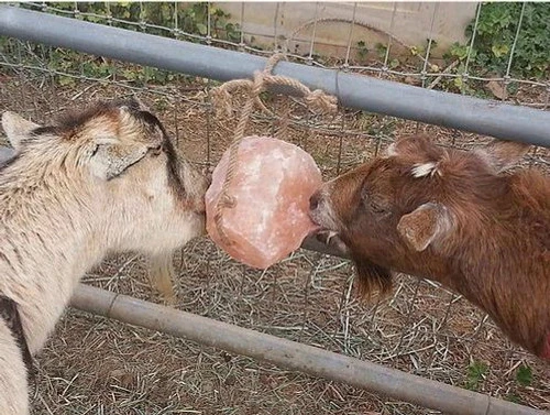 Himalayan Rock Salt On Rope 5 Himalayan Rock Salt On Rope - Image 5