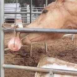 Himalayan Rock Salt On Rope 7 Himalayan Rock Salt On Rope -Horse Set Sales Store saltandhorse 72544 03815.1527299804