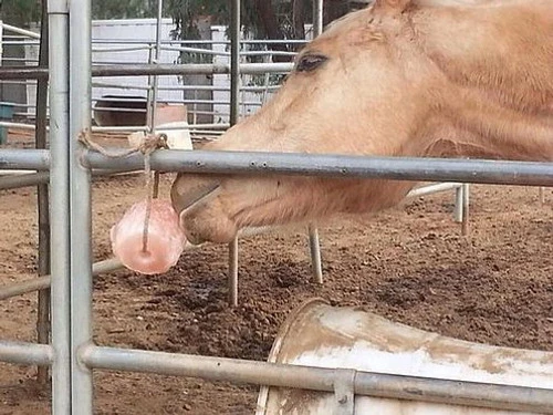Himalayan Rock Salt On Rope 3 Himalayan Rock Salt On Rope - Image 3