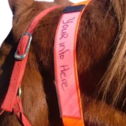 EquestriSafe Horse Identification Collar