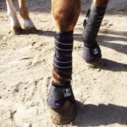 Majyk Equipe Sport/Dressage Boots 5 Majyk Equipe Sport/Dressage Boots -Horse Set Sales Store sportdressagepurple 83089 87931.1527295834