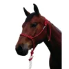 Double Diamond 100 Stiff Rope Halter
