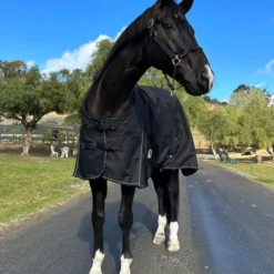 Terminator II Euro Cut Ultralight Blanket 80g -Horse Set Sales Store terminator euro 80g black front1 barry kensington 11454.1670367424