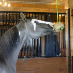 Triple Crown Tether Treat -Horse Set Sales Store tether treat horse triple crown 83569.1668202731